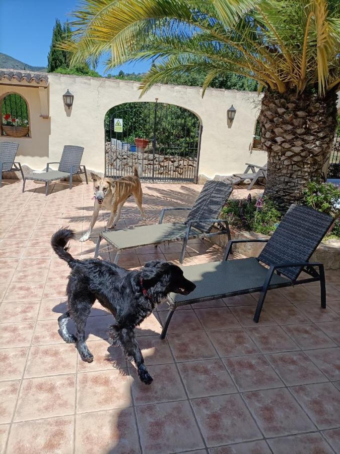 Villa Lobos Lliber Exterior photo
